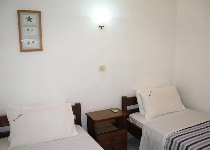 Rodis * Tsilivi (Zakynthos)