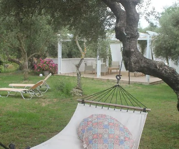 Daire Rodis